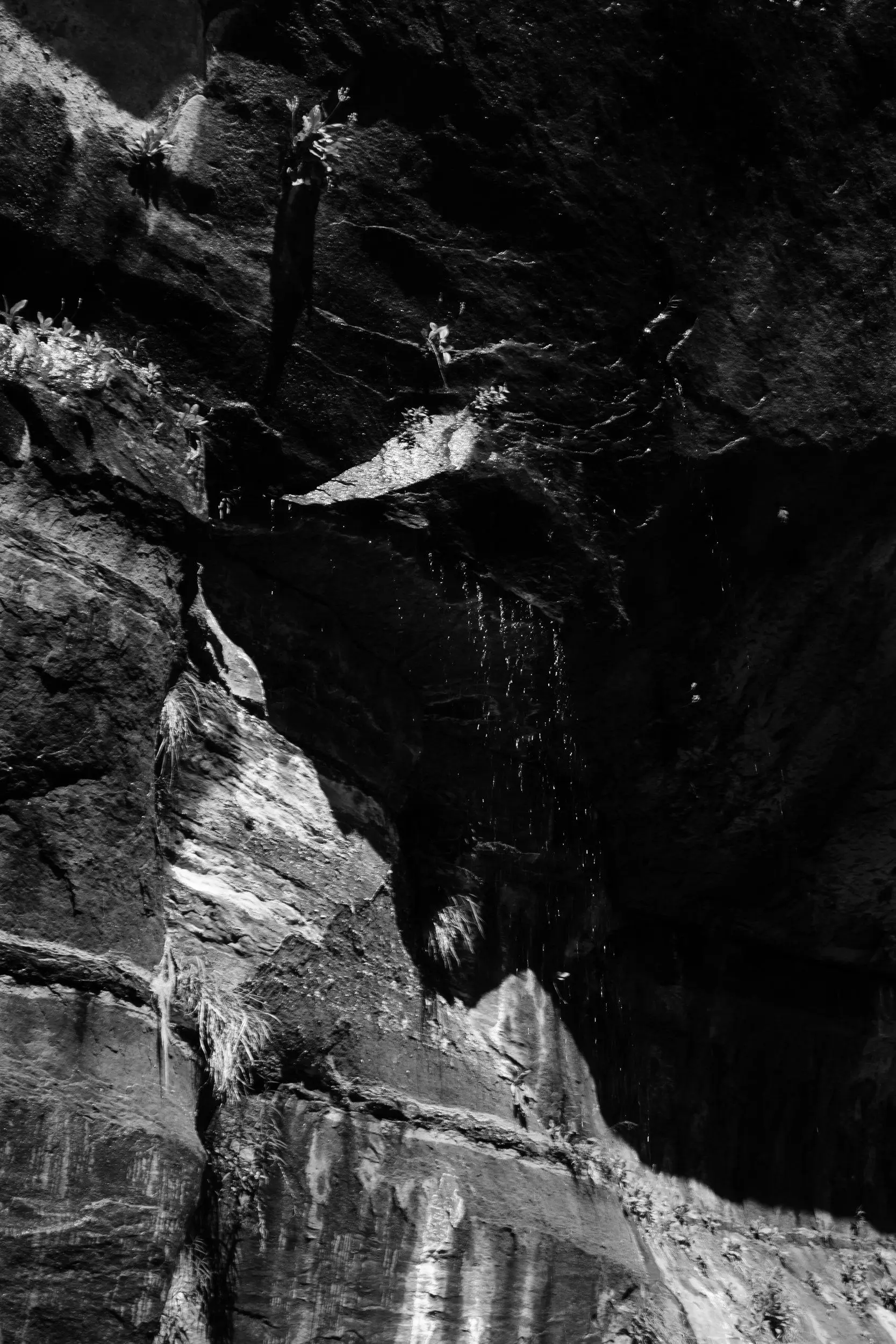 Water drips down the walls of Emerald Pool in black and white.