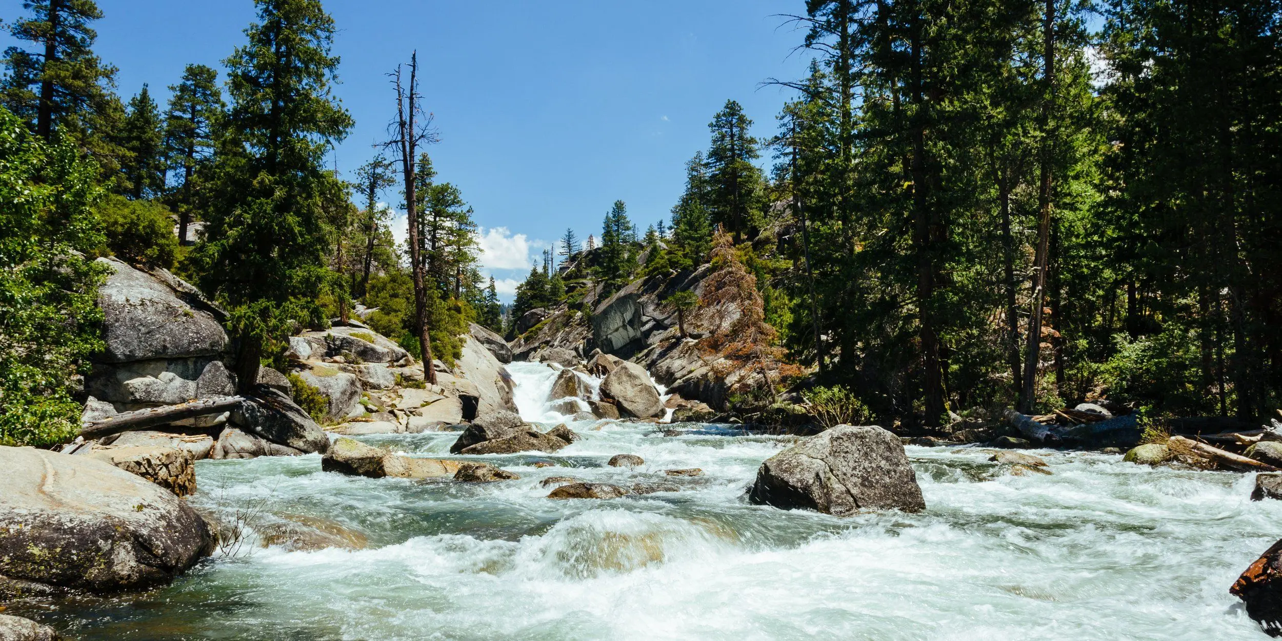 Water from the Merced River rushes over rocks surrounded by trees and clear blue skies during midday.